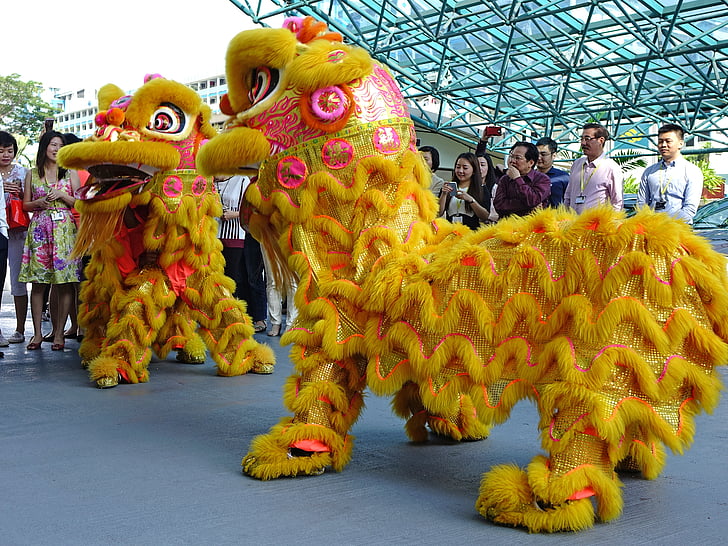 dance lev, kitajščina, tradicijo, novo leto, sreča, ples, azijske