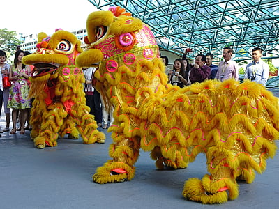lejondans, Kinesiska, tradition, nytt år, lycka till, Dans, Asiatiska