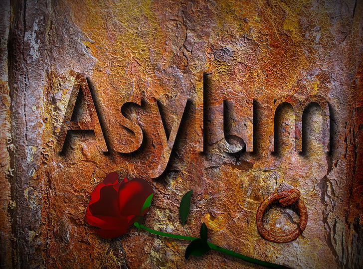 asylum, refugees, tracking, help, protection, shelter, externally