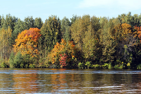 Forest, rieka, jeseň, Príroda, vody, Sky, odraz vo vode