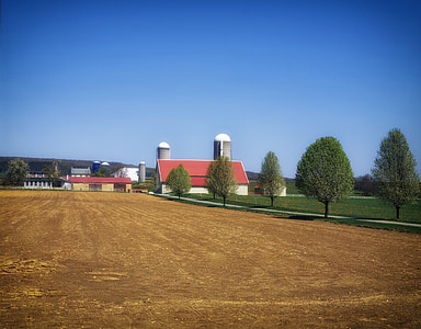 Пенсилвания, пейзаж, живописна, ферма, селски, крайградски, дървета