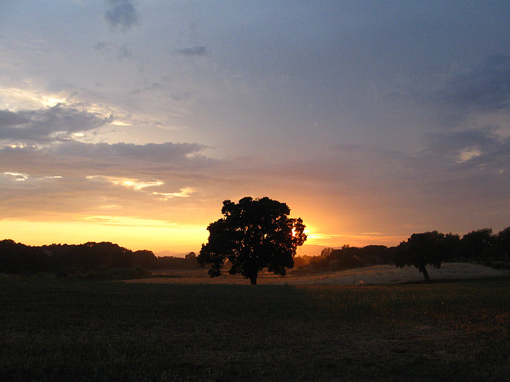 puesta de sol, Maremma, Italia, Toscana, verano, colores, paisaje
