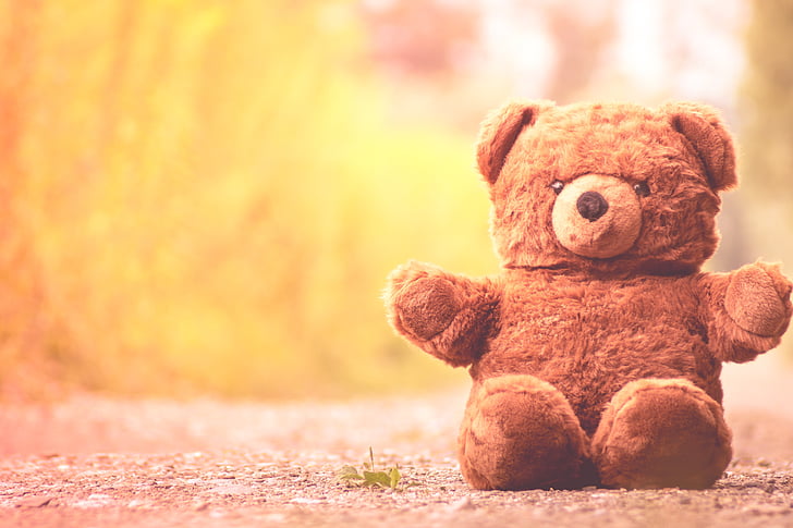 furry teddy bear, cute, soft toy, teddy, stuffed animal, cuddly, bear