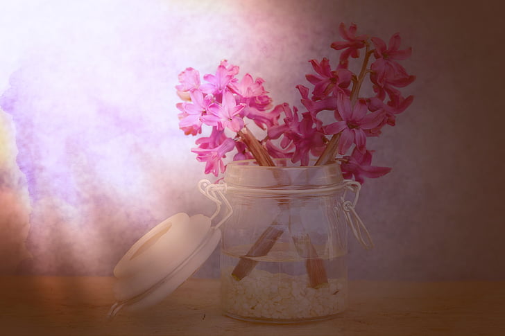 flowers, hyacinth, pink, glass, decorative glass, vase, fragrant flower