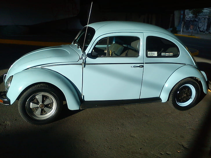 vw, beetle, vw beetle, vocho, car, retro Styled, old-fashioned