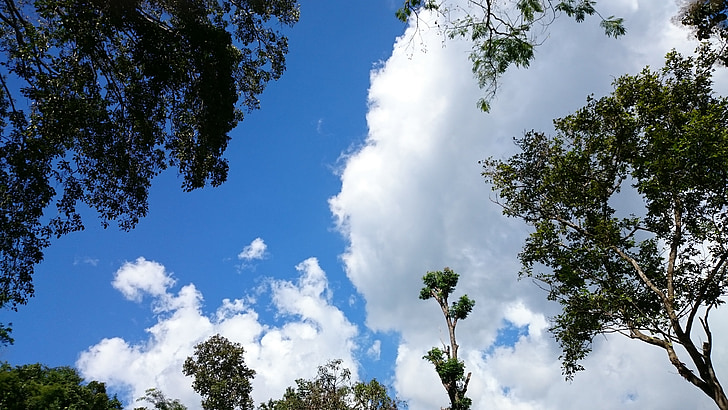 sky, natural, cloud, white, heaven, blue sky, wood