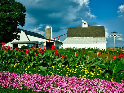 Iowa, gård, ladugården, silo, skruv, Sky, moln