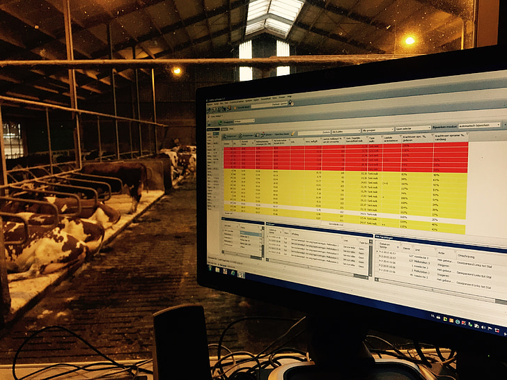 cows, cowshed, glass fiber, automation, digitization