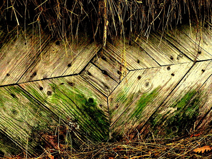 in the hay, old door, nature