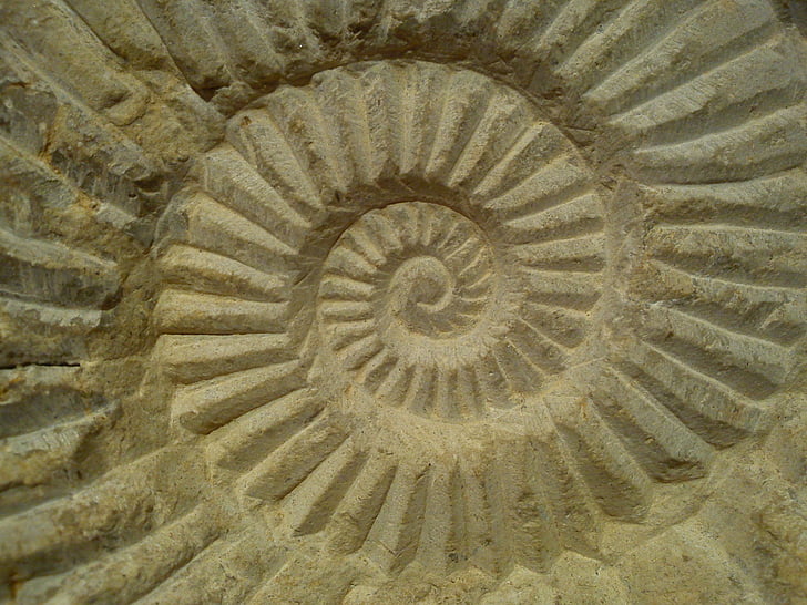 spiral, stein, skulptur, lettelse, skåret, geometri, sneglen