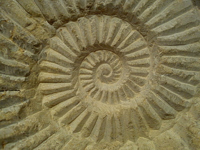 spirala, kamena, skulptura, reljef, urezana, geometrija, puž