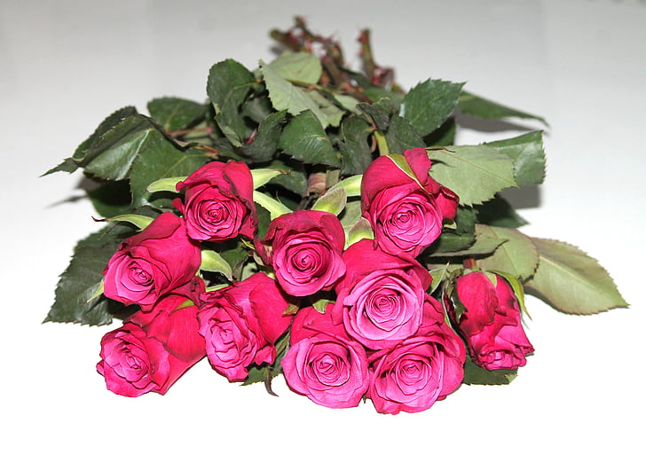 many roses, roses, bouquet, flowers, romance, red, flower