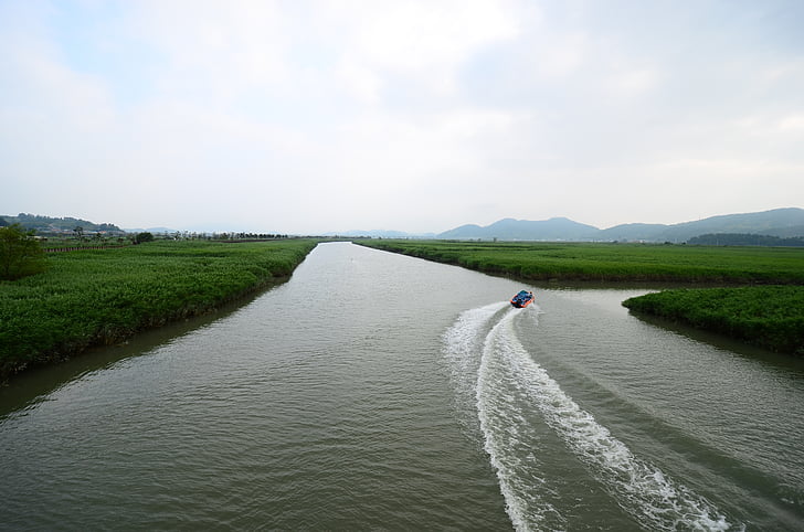 suncheon bay, bog, ecological park, water taxi, how to river, river, nature