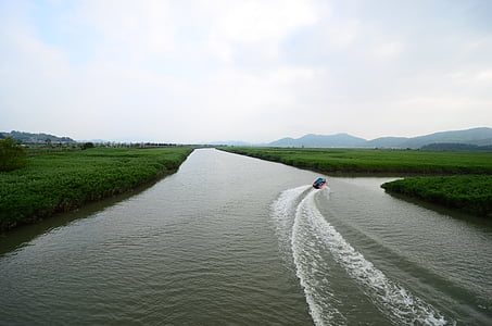 Suncheon bay, Bog, ekologiczny park, taksówką wodną, jak rzeka, Rzeka, Natura