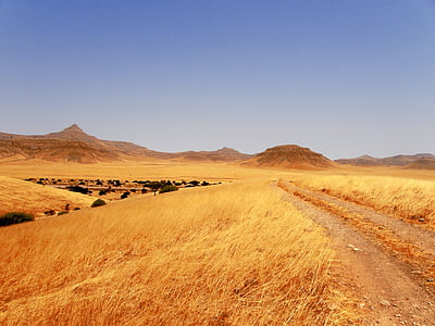 grasslands, track, stony, rough, sand, yellow, dry