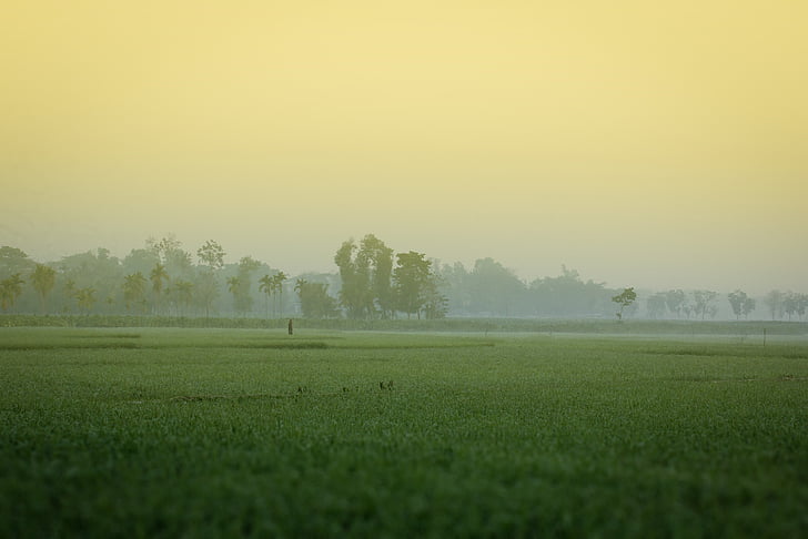 Zimné ráno, Bangladéš, khagrachori, krásne Bangladéš