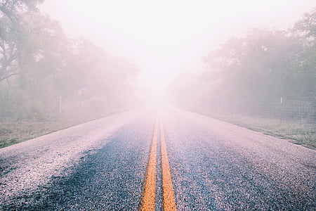 asphalt, foggy, misty, road, travel, trees