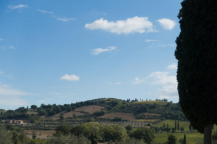landskap, Cypress, naturen, bergen, Sky, Toscana, Italien