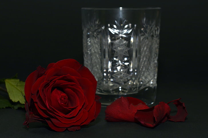 rose, red rose, rose petals, crystal glass, crystal, glass, flower