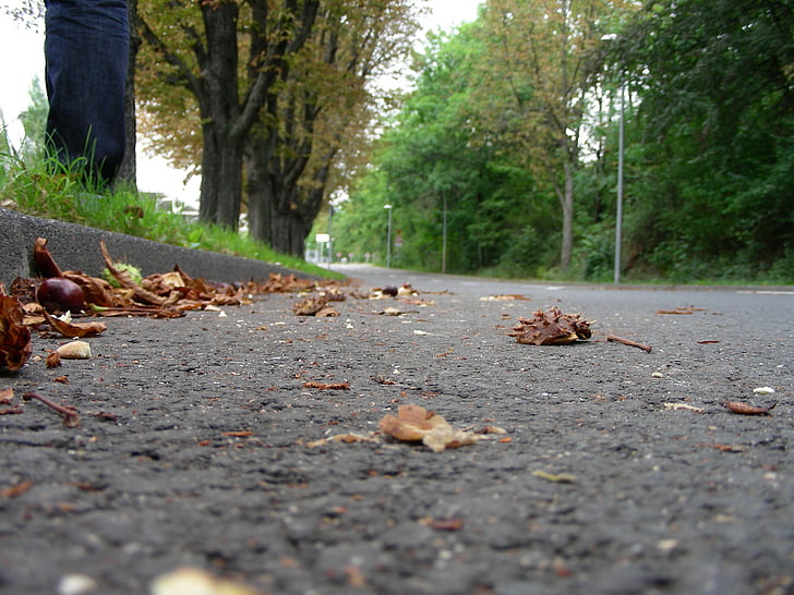 strrasse, pryč, asfalt, podzim, padajícího listí, zlatý podzim, listy