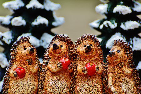 winter, hedgehog, apple, cute, sweet, figure, wintry