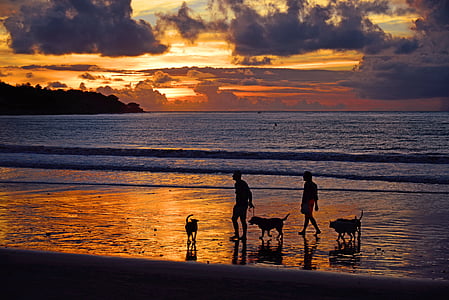 Pantai Jimbaran, Jimbaran, Indonesia, Bali, matahari terbenam, Keluarga, teman