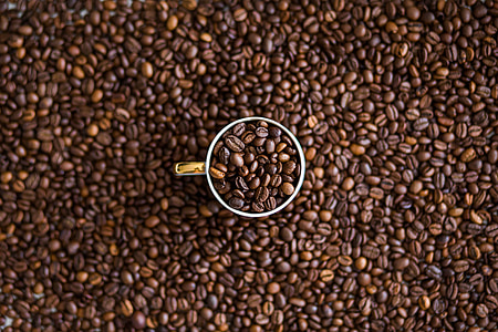 café, haricots, grains de café, cacao, caféine, Starbucks, Costa