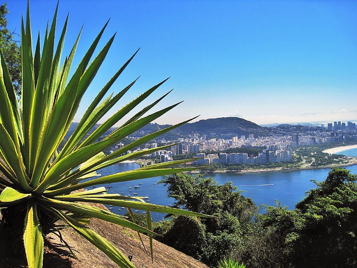 pohled z sugarloaf, pláž, Flamengo park, rezervace, Guanabara bay, ohromující, Rio