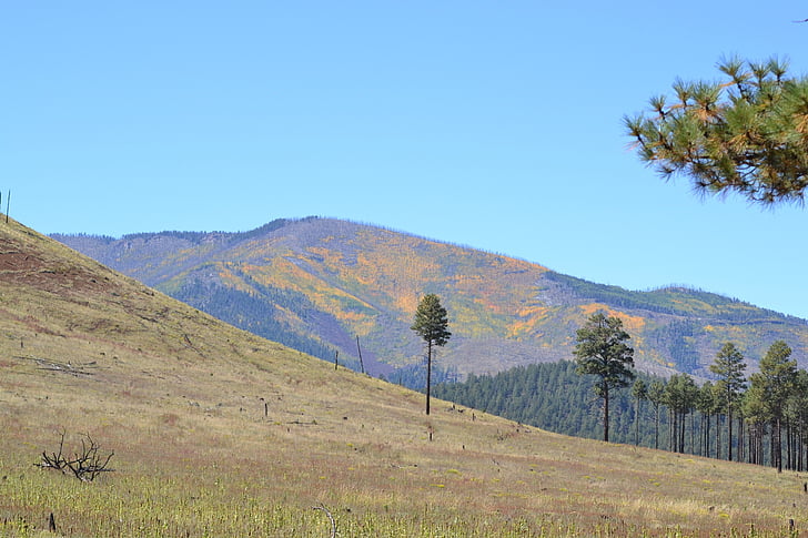 фоново изображение, Есен, планински