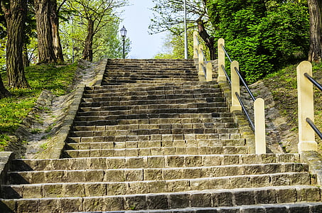 stairs, up, park, stair, nature, trees, light and shadow
