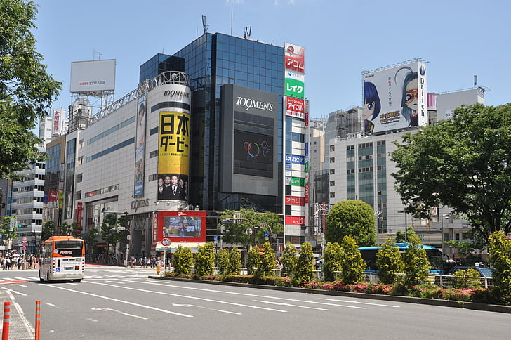 staden, Street, byggnader, trafik, scen, Tokyo, Shibuya crossing