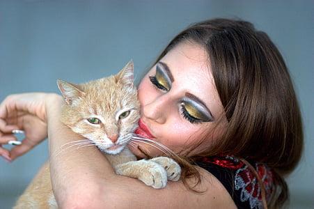 jente, katten, skjønnhet, innenlands cat, kjæledyr, kvinner, dyr