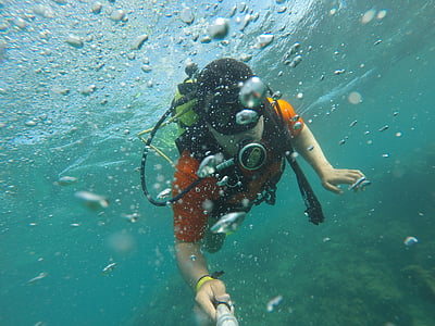scuba diver, selfie, sea, swimming, water, aquatic, coral
