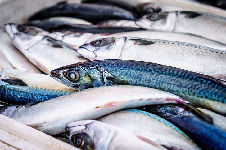 ryby, čerstvé, trhu, jedlo, plody mora, zdravé, surové