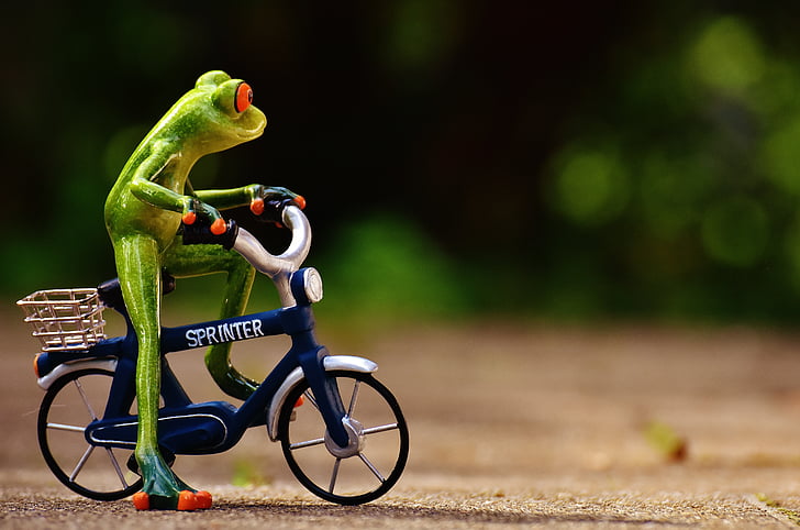 Kurbağa, Bisiklet, komik, şirin, tatlı, şekil, sürücü