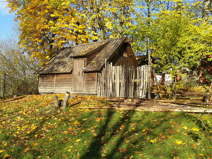 wooden, hut, woods, forest, autumn, outdoors, lifestyle