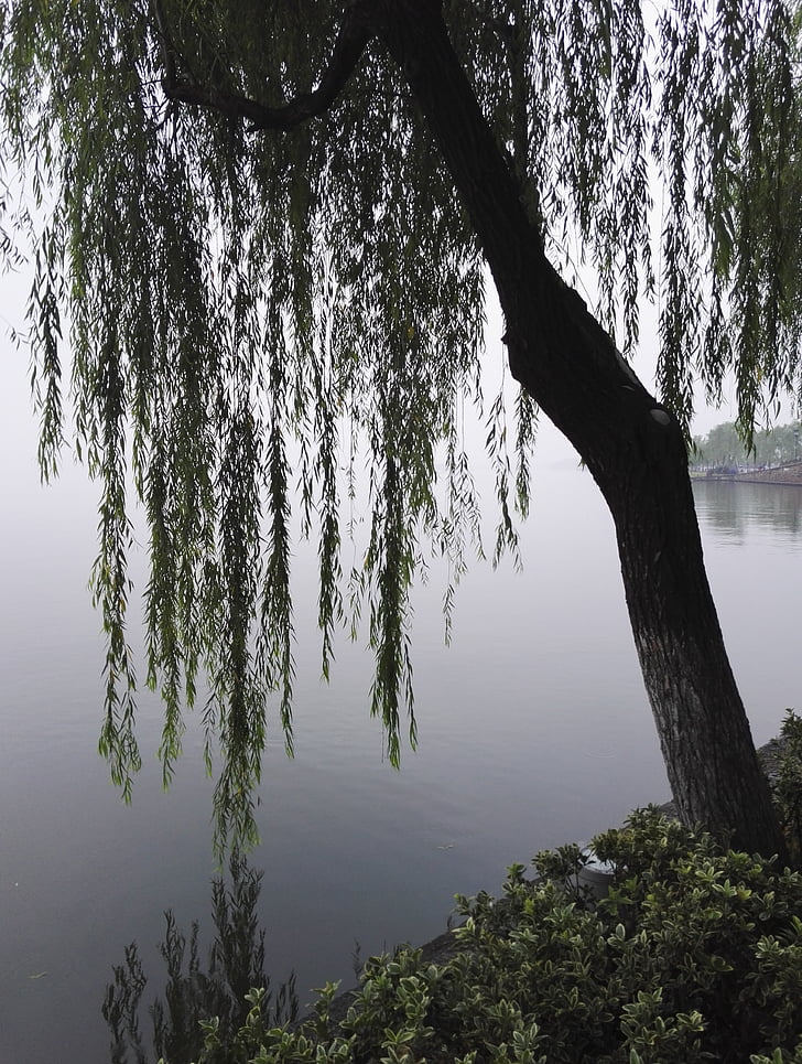 Hangzhou, West lake, scenérie