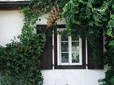 Прозорец, Паметник, детайл от, архитектура, капаци на прозорци, Полша