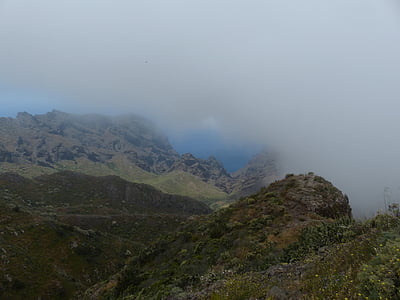 fjell, tåke, tropisk hage, Tenerife, Kanariøyene