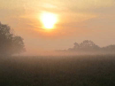 morning, sun, dawn, fog, haze