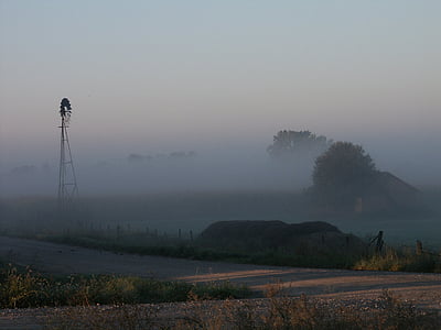 pinwheel, Moulin à vent, brouillard, matin, champs, énergie éolienne, arbres