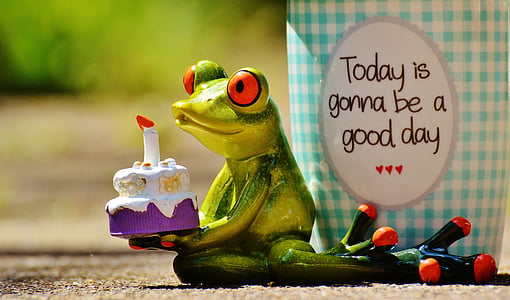 belle journée, anniversaire, joie, grenouille, café, Coupe, heureux