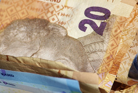 dolarové bankovky, Edge, Jihoafrická republika, Poznámka: peníze, hotovost a hotovostní ekvivalenty