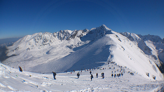 Tatra, montagne, gamma, picco, neve, inverno, persone