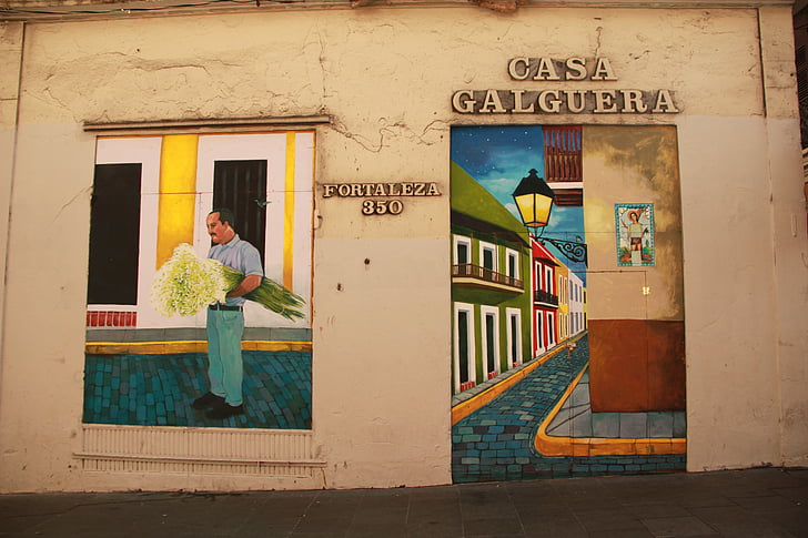mur, peinture, Porto Rico, San juan, homme, fleurs, rue
