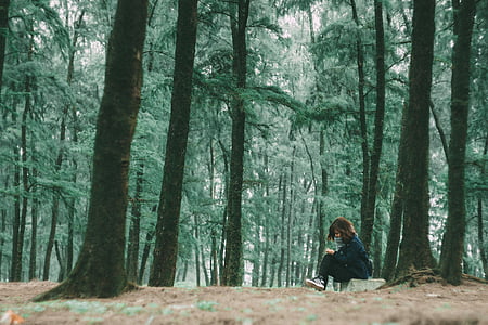 Orman, Kız, aşk