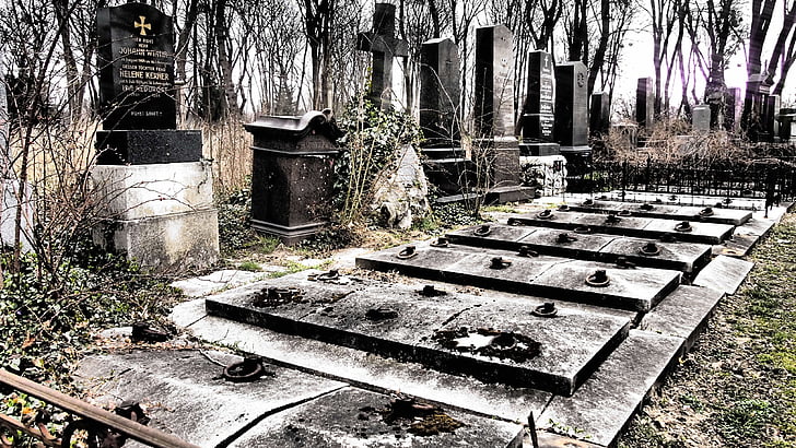Wien, zentralfriefhof, kyrkogården, död, övergiven, gamla, arkitektur
