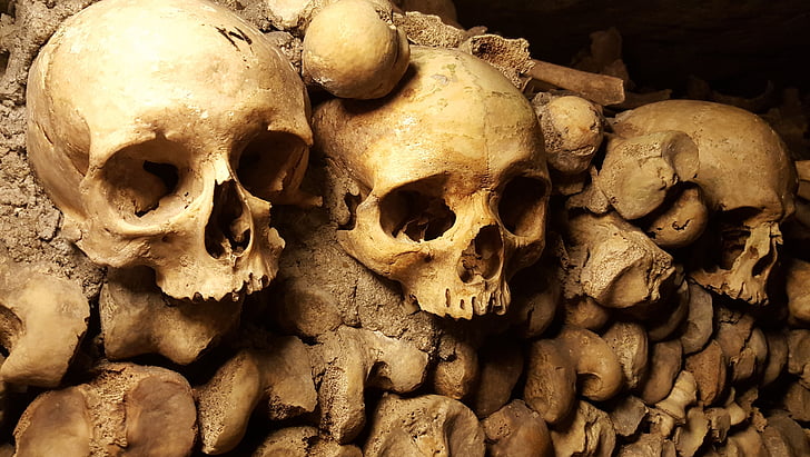 catacombs, paris, skulls, bones, cemetery, halloween, scary