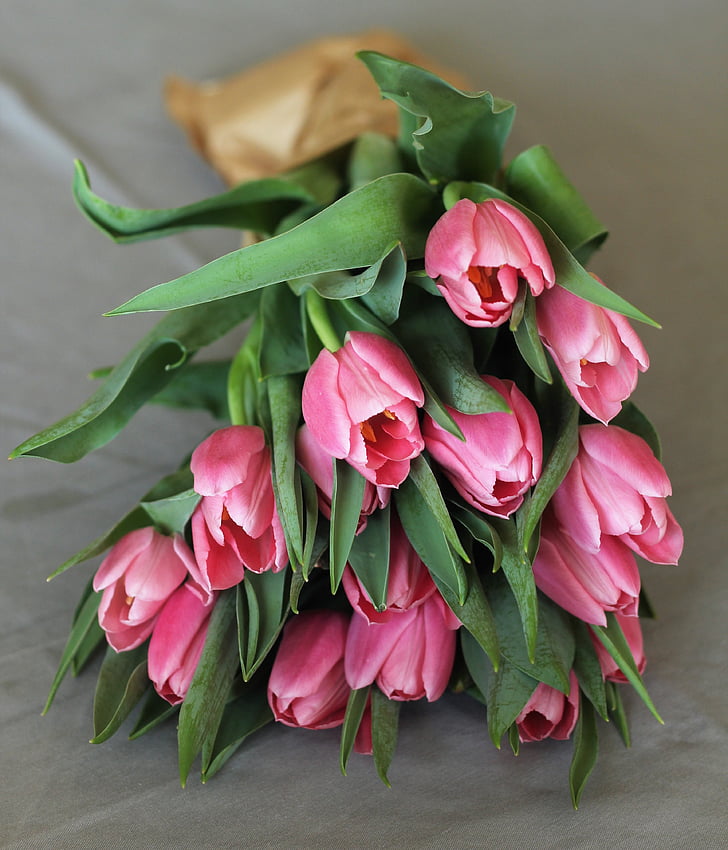 tulipani, buket, cvijeće, biljka, dekoracija, ljepota, proljeće