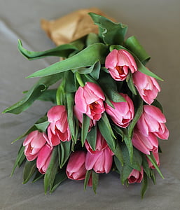 tulipány, kytice, květiny, závod, dekorace, Krása, jaro